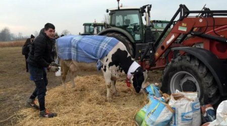 Atentionare MAE: Trafic afectat de protestele fermierilor in Portugalia