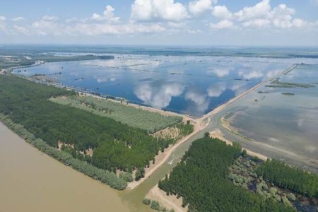 WWF Romania: O zona umeda renaturata din Delta Dunarii risca sa fie transformata din nou in teren agricol