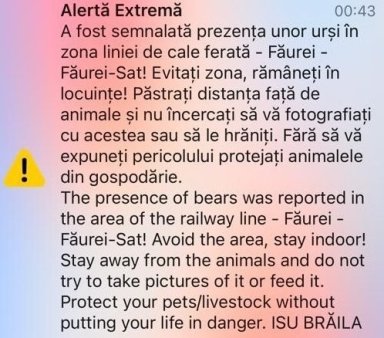 Ro Alert in <span style='background:#EDF514'>JUDETUL BRAILA</span> dupa ce la Faurei a fost vazuta o ursoaica cu pui