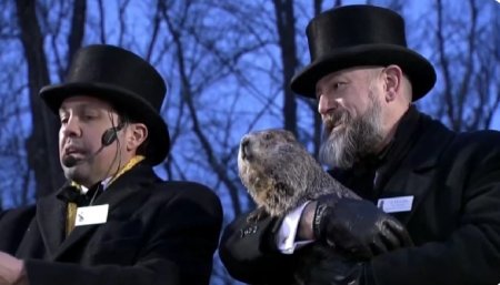 Phil, cel mai celebra marmota meteorolog din SUA, a anuntat cand va veni primavara – VIDEO