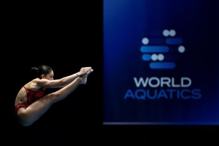 Nicoleta Muscalu s-a oprit dupa preliminariile probei de platforma 10 m la Campionatele Mondiale de <span style='background:#EDF514'>NATATIE</span> de la Doha