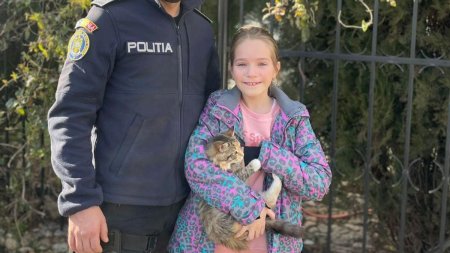 Pisicuta ratacita a unei fetite, gasita de politisti in timp record