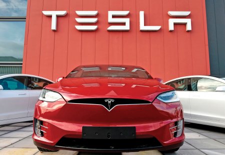 Ianuarie 2024 aduce o noua crestere pe piata auto, dar cu surprize: Tesla intra in premiera in top 10, iar pe locul secund este Toyota