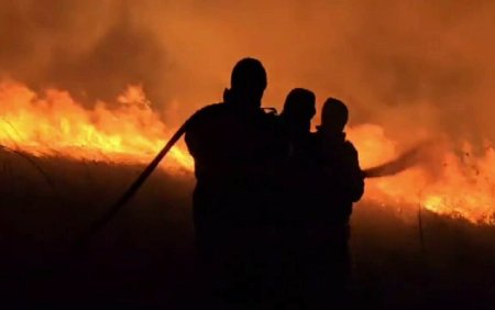 Weekend de foc pentru pompierii din Mehedinti. S-au luptat ore in sir cu flacarile dupa ce 300 de hectare de vegetatie au ars