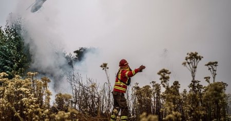 Incendiile din Chile fac prapad, 112 persoane au murit: Este cea mai mare tragedie pe care am vazut-o