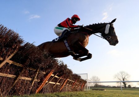 Un jocheu a murit in timpul unei curse de cai din Anglia
