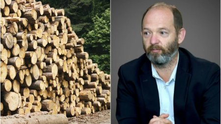 Industria lemnului se pregateste de proteste. Presedintele Asociatiei Prolemn: Noi cerem respect