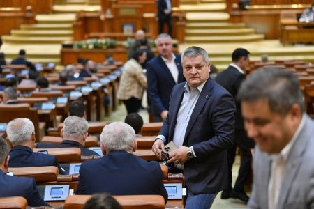 Deputatul PSD Radu Cristescu cere demiterea de urgenta a sefului Armatei Romane: „S-a umflat peste noapte <span style='background:#EDF514'>TARATA</span> in el. Sufera de vedetism”