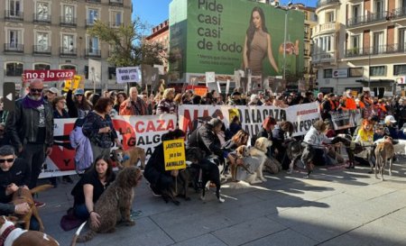 Spania protesteaza impotriva <span style='background:#EDF514'>VANATORI</span>i cu caini: Apel pentru Protectia Animalelor
