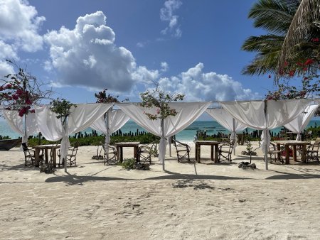 Unde este berea rece? Unde este <span style='background:#EDF514'>WHISKY</span>-ul?. Turistii sunt deranjati de criza de alcool din Zanzibar, insulele africane cu plaje paradisiace