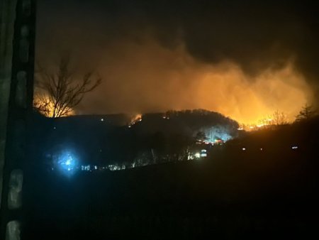 Valcea: Incendii de vegetatie uscata pe o suprafata de peste 100 de hectare