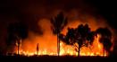 Incendiu de amploare in Valcea; ard peste 100 de hectare de vegetatie uscata