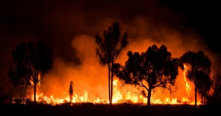 Incendiu de amploare in Valcea; ard peste 100 de hectare de vegetatie uscata