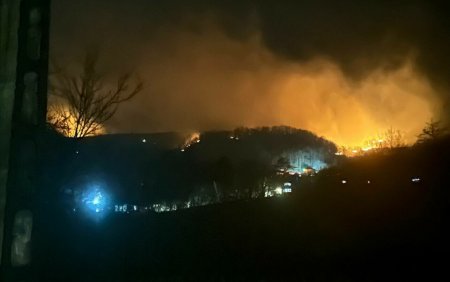 Incendiu de proportii in Valcea. Flacarile se intind pe mai bine de 100 de hectare