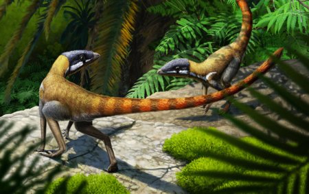 Fosilele unei noi specii de reptile zburatoare, contemporane cu dinozaurii, descoperite in Scotia