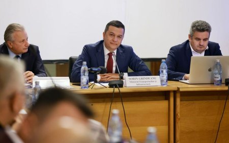Ministrul Grindeanu a sesizat institutiile abilitate, pentru folosirea imaginii sale la promovarea unei vanzari fictive de actiuni