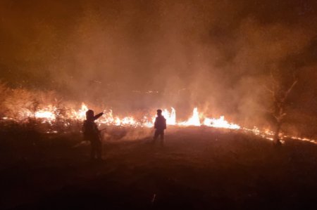 Incendii in mai multe judete din tara. In Prahova, ard 25 de hectare de vegetatie, fasia de foc are 5 kilometri