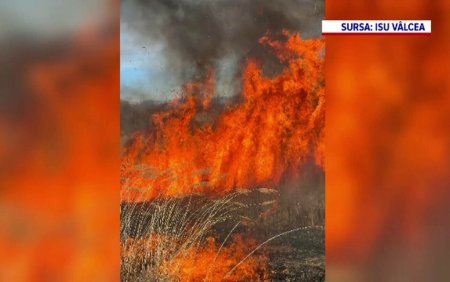 Incendiile de vegetatie continua sa faca prapad in tara. Cei care isi curata terenurile dandu-le foc pot primi amenzi uriase