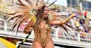 Carnavalul de la Rio, pus in pericol de febra Dengue. A fost decretata stare de urgenta sanitara, imbolnavirile au explodat