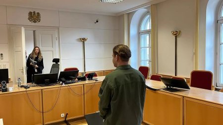Un talhar care a jefuit vopsit pe fata o banca, in Austria, a incercat sa convinga o judecatoare ca nu stia ce face: Sunt prost!