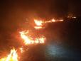 Incendiu urias in Timis. Flacarile s-au extins pe aproximativ 100 de hectare