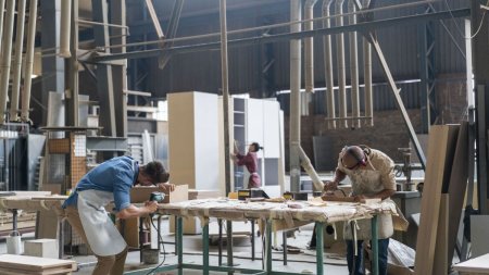 Orasul din Romania in care se va deschide o fabrica de mobila. 150 de noi locuri de munca | O companie globala a cumparat fosta fabrica a lui <span style='background:#EDF514'>IRINEL</span> Columbeanu