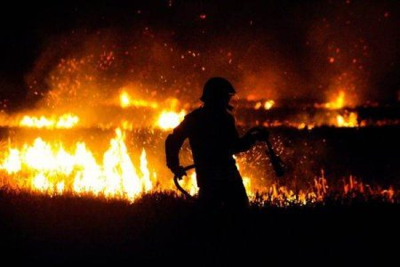 AFP: Incendiile care au devastat regiunea Valparaiso, din Chile, au fost  stinse