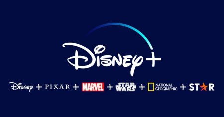 Disney Plus se pregateste sa ia masuri impotriva partajarii parolelor