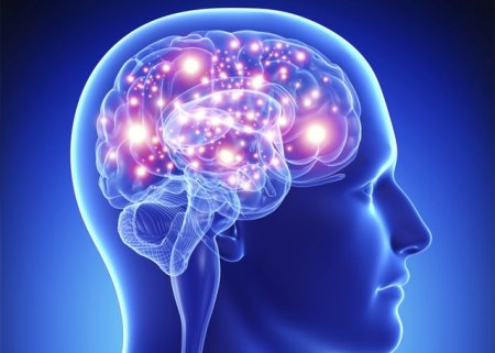 Un singur implant cerebral impotriva epilepsiei si a tulburarilor obsesiv-compulsive