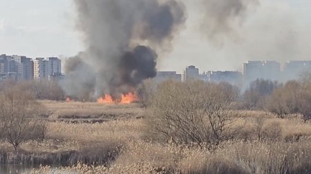 Incendiu puternic in Delta Vacaresti! Pompierii din Bucuresti intervin de urgenta