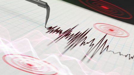 Doua cutremure in Romania. Unul dintre ele s-a produs aproape de Bucuresti | Reactia directorului INFP