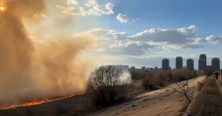 FOTO. Incendiu puternic in Delta Vacaresti! Pompierii intervin in forta