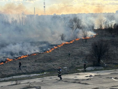 Incendiu puternic in Delta Vacaresti din Capitala (Video)