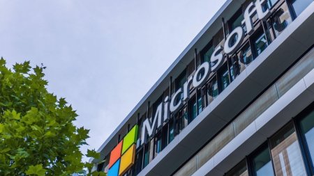 Fostul sef Microsoft Romania, condamnat la 6 ani de inchisoare pentru evaziune fiscala