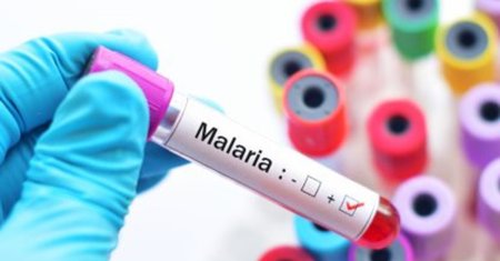 Medicii trag un semnal de alarma in Romania! Cele mai noi tratamente pentru malarie nu se gasesc in tara