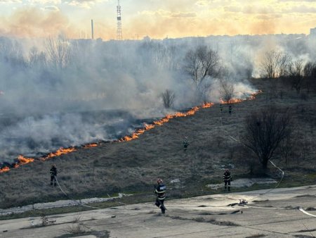 Primaria Capitalei, dupa incendiul din Parcul Natural Vacaresti: Intelegem si regretam profund
