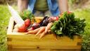 Fructe si legume cu indice glicemic mare