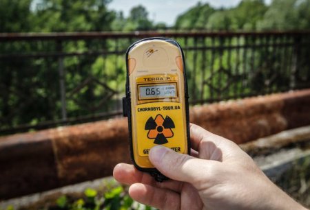 Studiu: Lupii din Cernobil par sa fi dezvoltat rezistenta la cancer