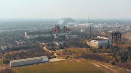 <span style='background:#EDF514'>LUPII</span> din Cernobil par sa fi dezvoltat rezistenta la cancer, arata rezultatele unui nou studiu