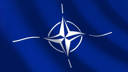 Noul presedinte al Finlandei, Alexander Stubb, promite sa sporeasca la maxim rolul tarii in cadrul Aliantei Nord-Atlantice: Nu avem limite in ceea ce priveste apartenenta noastra la NATO