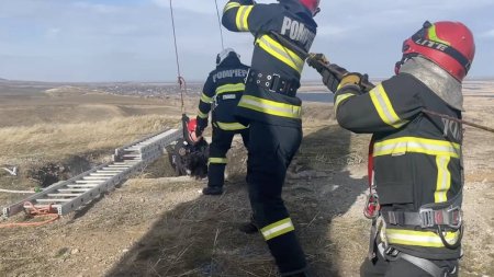 A rezistat eroic. Un <span style='background:#EDF514'>CAINE</span> cazut intr-o groapa de 30 de metri a fost salvat dupa trei zile de pompierii din Tulcea