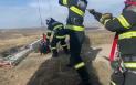 O echipa de pompieri a salvat un caine dintr-o groapa adanca de 30 de metri. Patrupedul era acolo de cateva zile