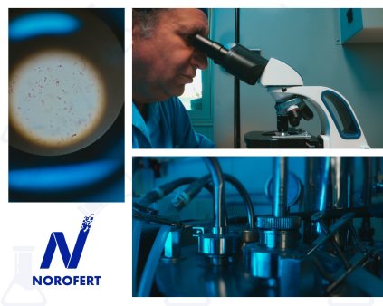 Norofert a finalizat o prima etapa dintr-un laborator de cercetare si multiplicare microorganisme pentru agricultura, investitia finala va ajunge la 6 milioane lei