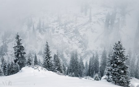 ANM: <span style='background:#EDF514'>COD PORTOCALIU</span> de ninsori in zona montana a trei judete. Coduri galbene de ploi si vant,pana miercuri dimineata