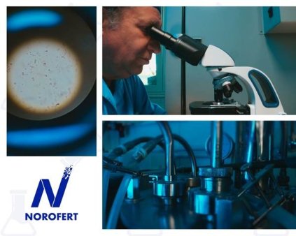Norofert anunta finalizarea primei etape a laboratorului de cercetare si multiplicare microorganisme pentru agricultura