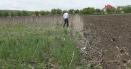 Fermierii europeni vor fi exceptati de la normele cu privire la terenurile lasate in parloaga