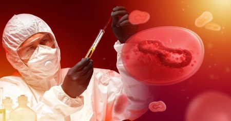 Un nou virus inrudit cu variola a facut prima victima. <span style='background:#EDF514'>ALASKA</span>pox se transmite de la mamifere mici