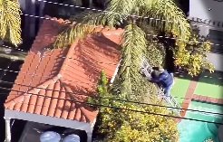 Un hot a cazut de pe scara in piscina, dupa ce comisese un jaf in Beverly <span style='background:#EDF514'>HILLS</span>. Politia l-a filmat din drona | VIDEO