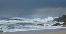 Cod galben de vant in <span style='background:#EDF514'>DOBROGEA</span>. Zona litorala, cea mai afectata