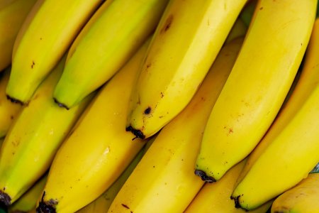 Rusia ramane fara banane. Rusii sunt sfatuiti sa isi cultive singuri fructele, dupa ce Putin a interzis importurile din Ecuador